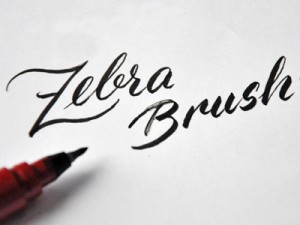 zebra brush pen-klein