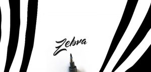 zebra-brush-pen-test